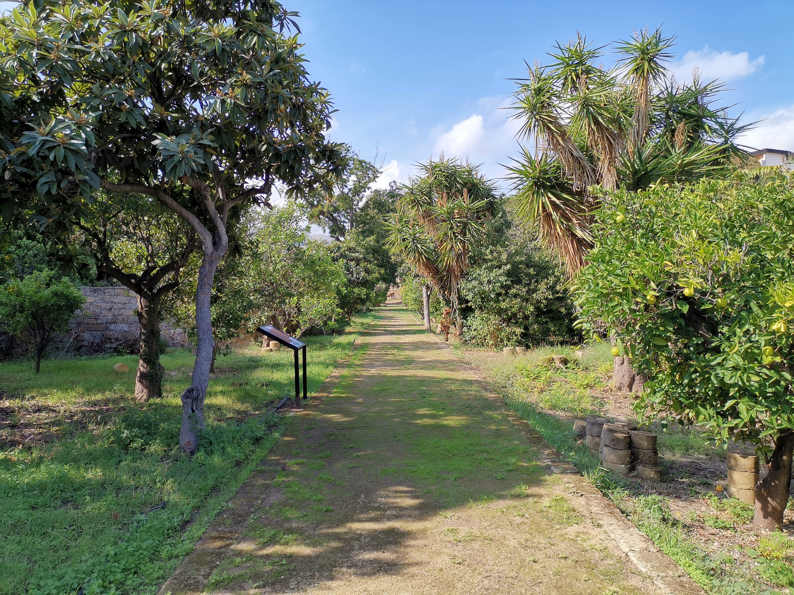 Jardín Villa Di Napoli - el camino que cruza el jardín