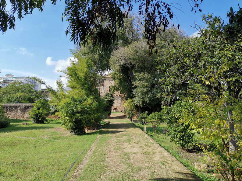 Jardín Villa Di Napoli - el principio del camino que cruza el jardín