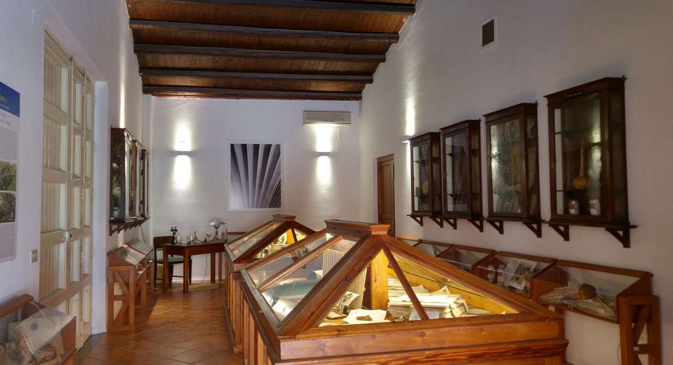 Sala expositiva Erbario del Orto Botanico de Palermo