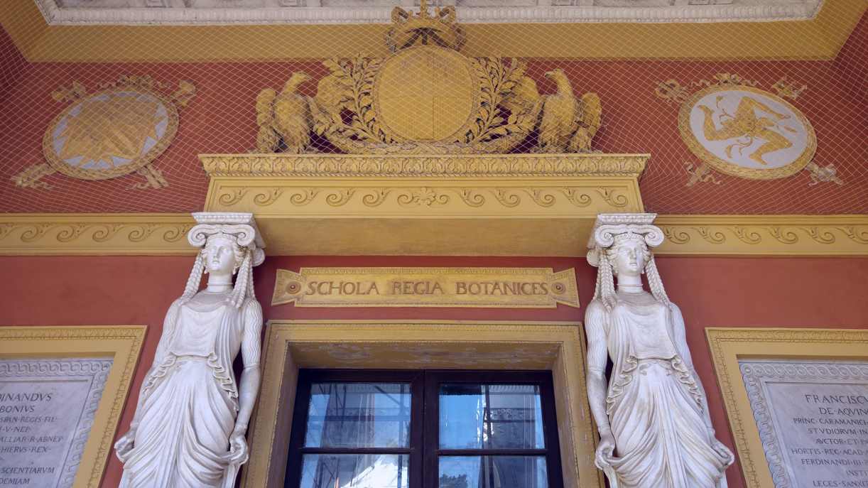portal de la Schola Regia Botanice
