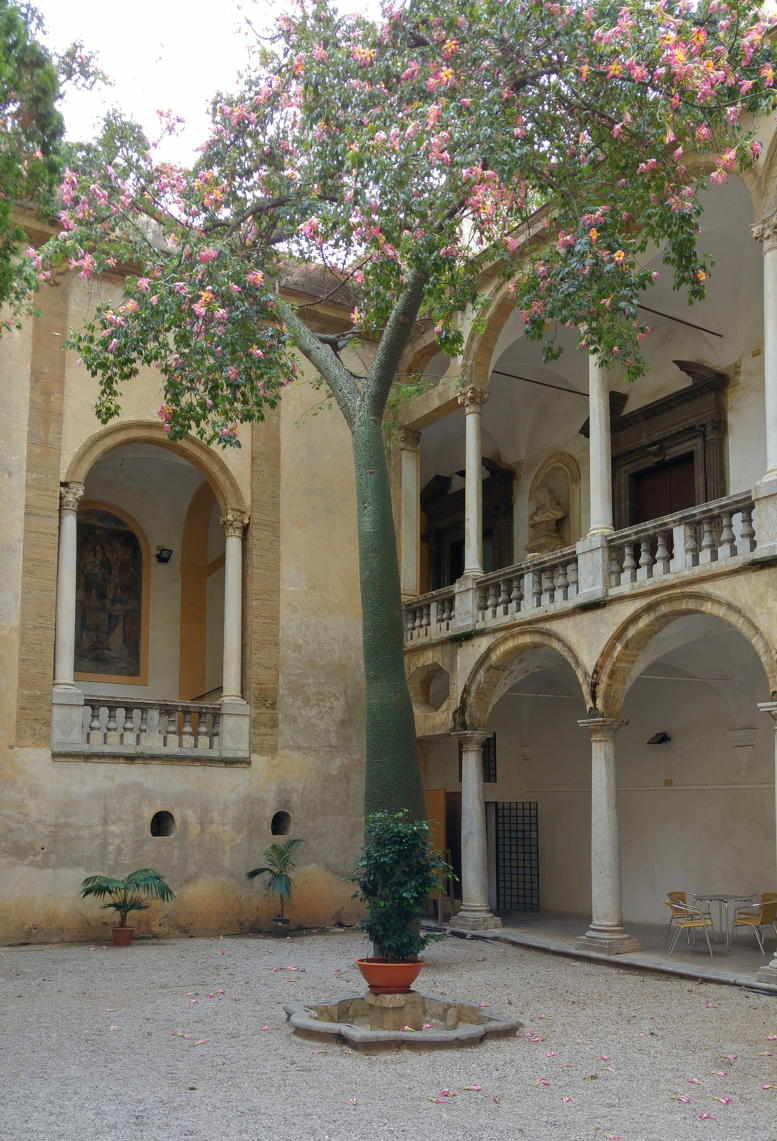 Claustro de Santa Cita y exteriores del oratorio - los portales del oratorio vistos desde el patio del claustro