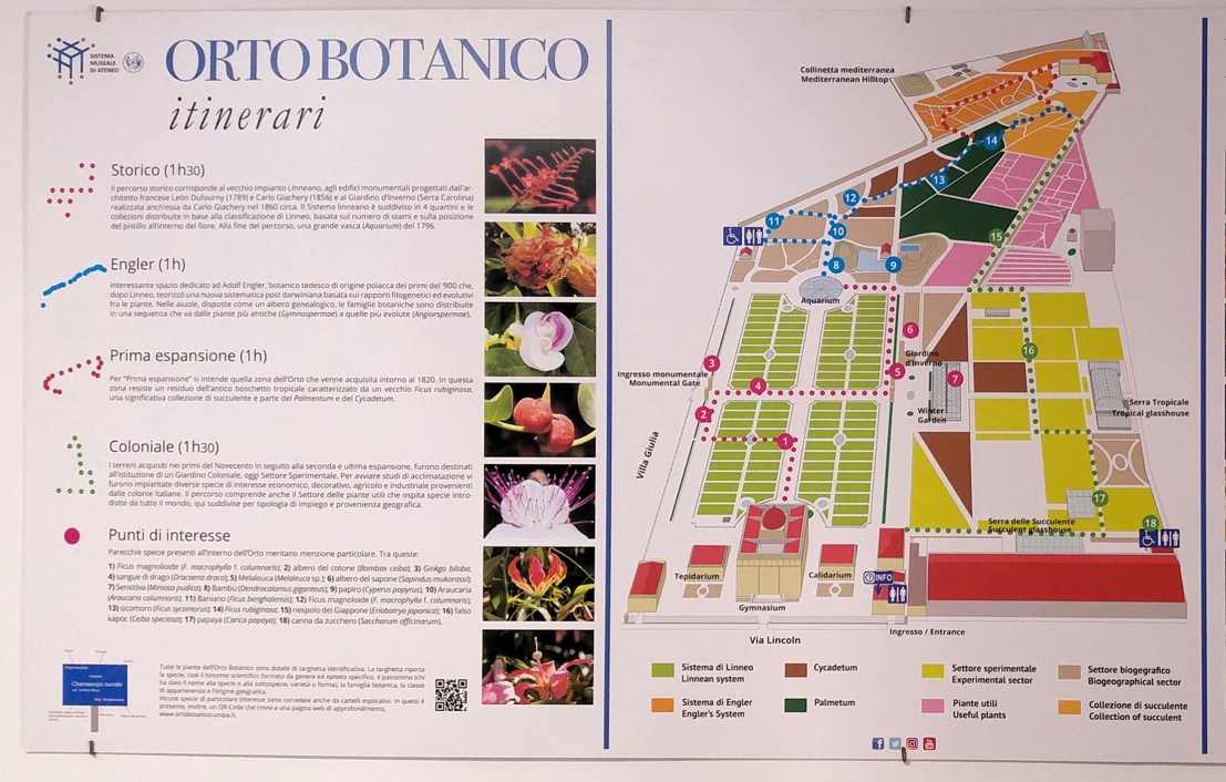 planta e itinerarios del Orto Botanico